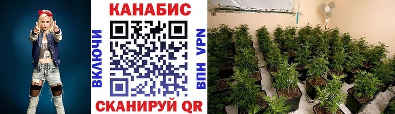 Продажа наркотиков Грозный Cocaine  Гашиш  АМФЕТАМИН  МАРИХУАНА  Псилоцибиновые грибы  A PVP 