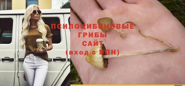 тгк Абаза